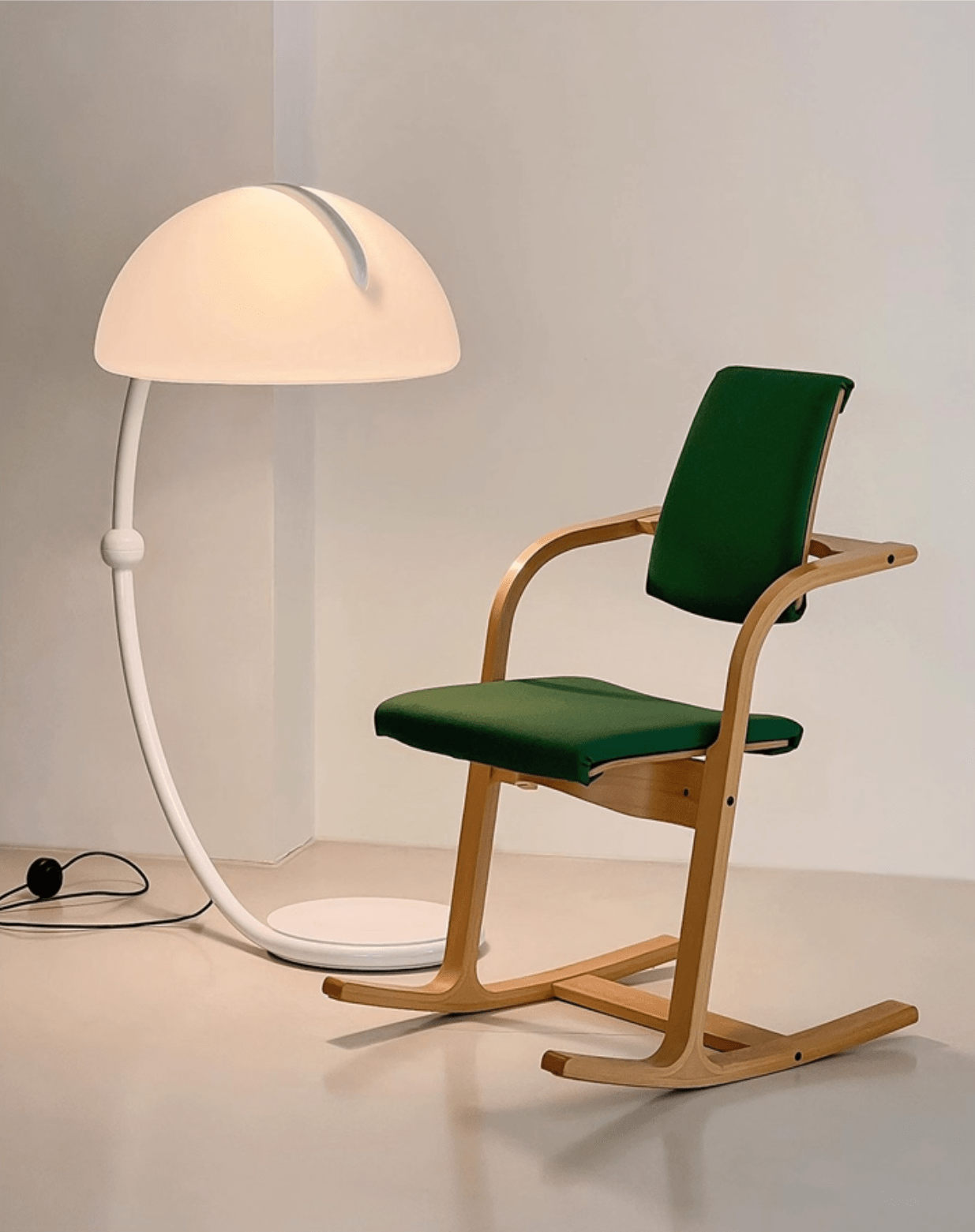 Arc Dome Floor Lamp
