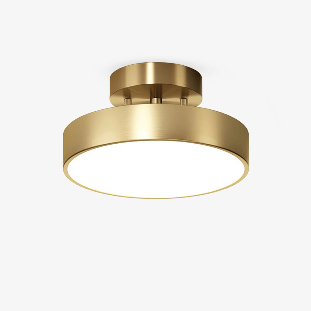 Meridian Rotatable LED Ceiling Light