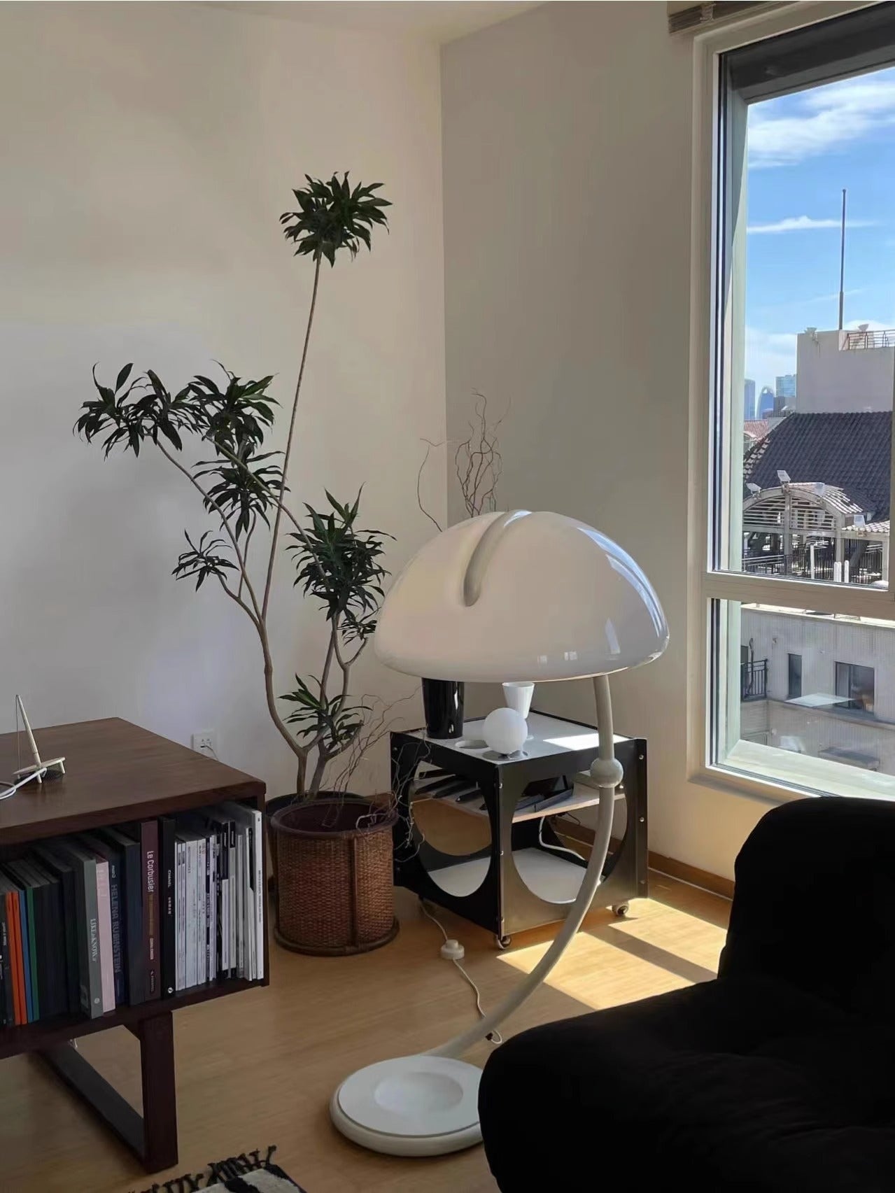 Arc Dome Floor Lamp
