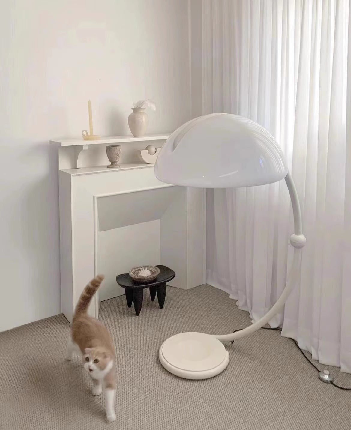 Arc Dome Floor Lamp