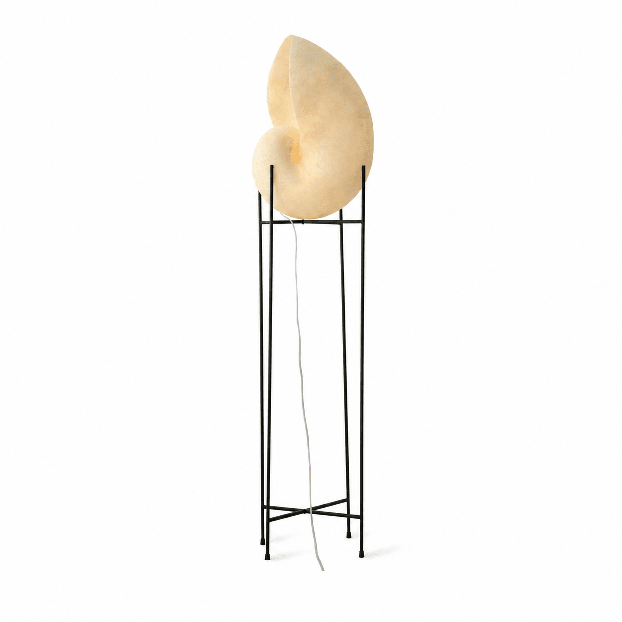 Conch Bloom Lamp