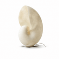 Conch Bloom Lamp