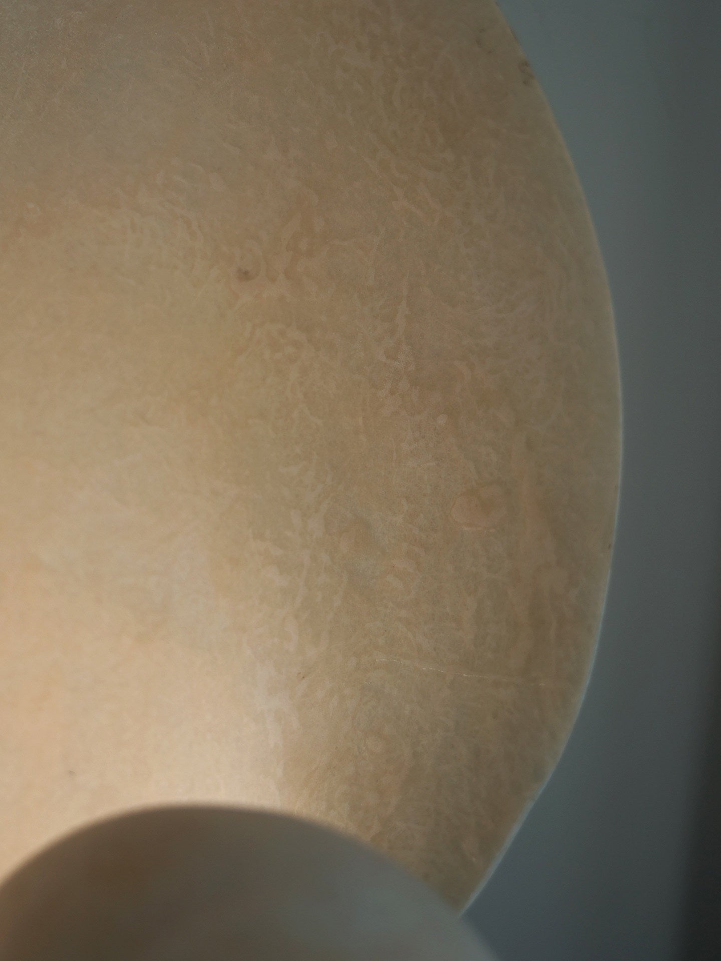 Conch Bloom Lamp