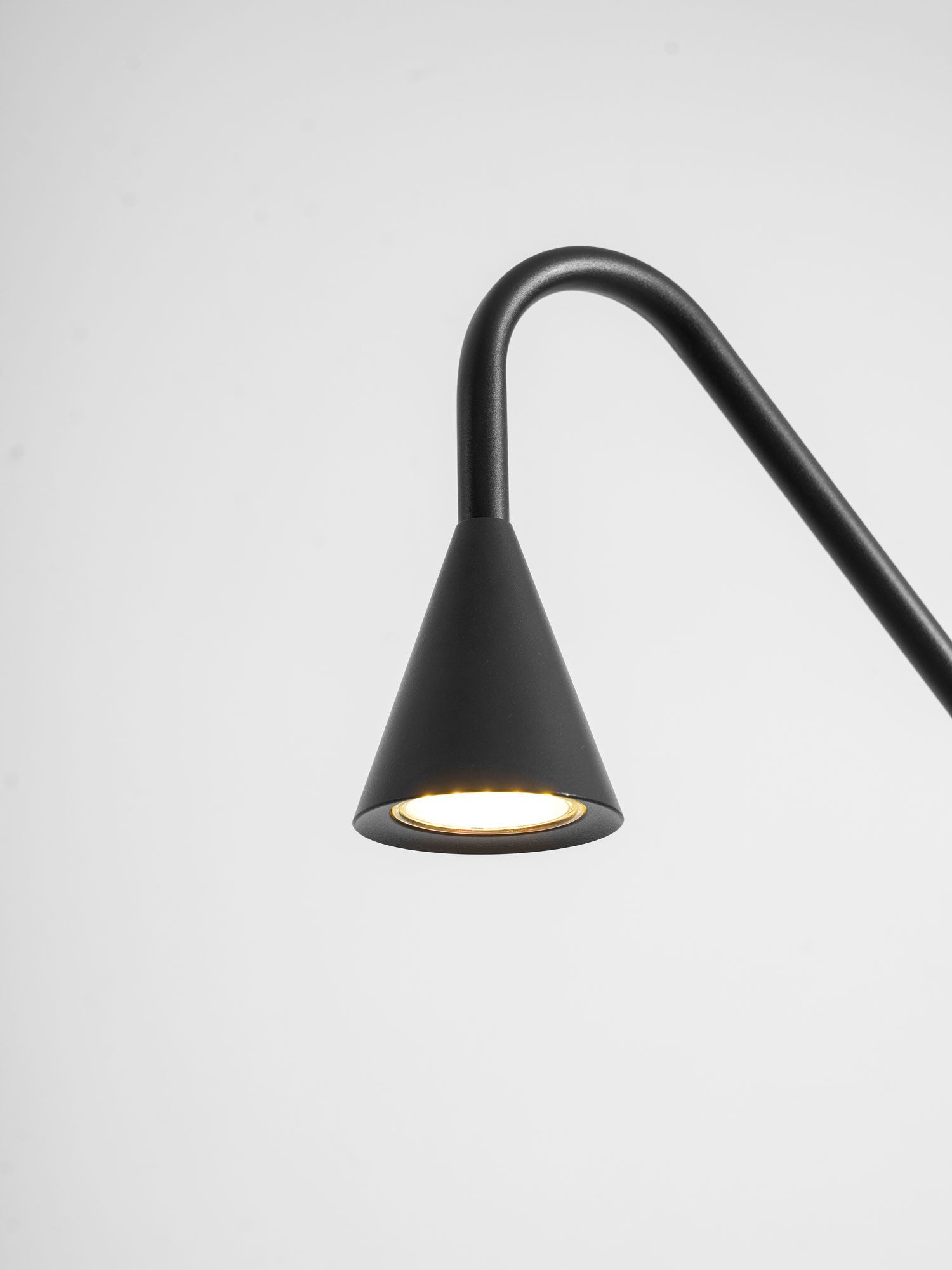Pureform Floor Lamp