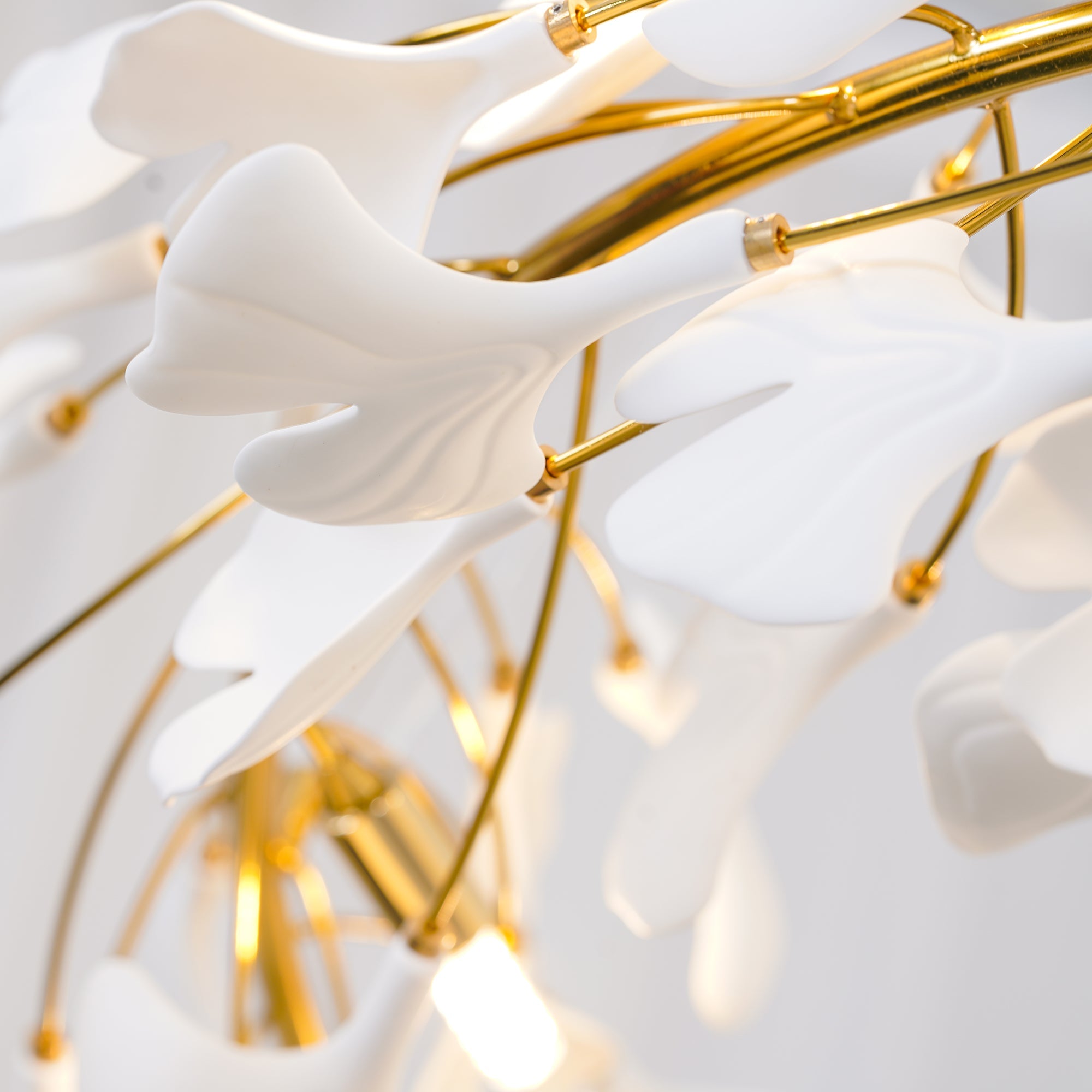 Gingko Halo Chandelier
