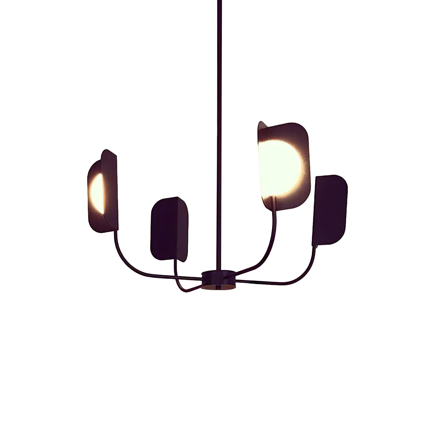 LEAF FOLIO Chandelier
