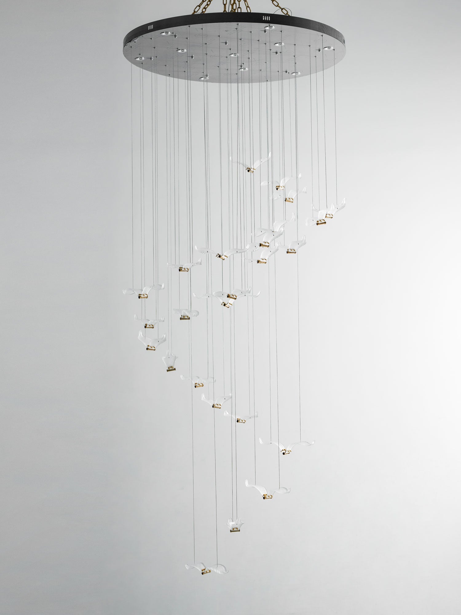 Large Seagull Chandelier