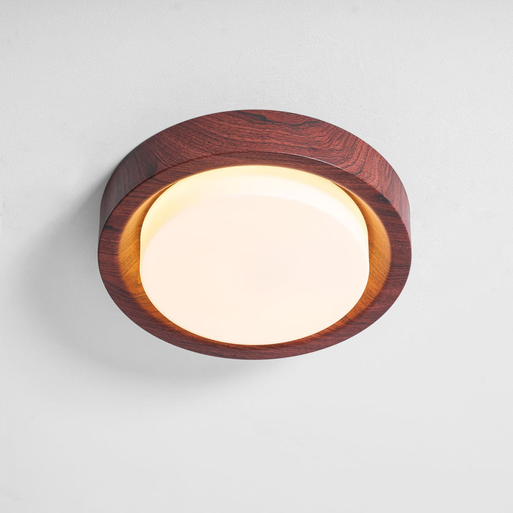 Lunor Ring Ceiling Light