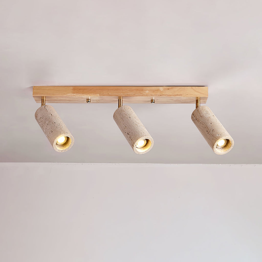 Nimbus Ceiling Spotlight