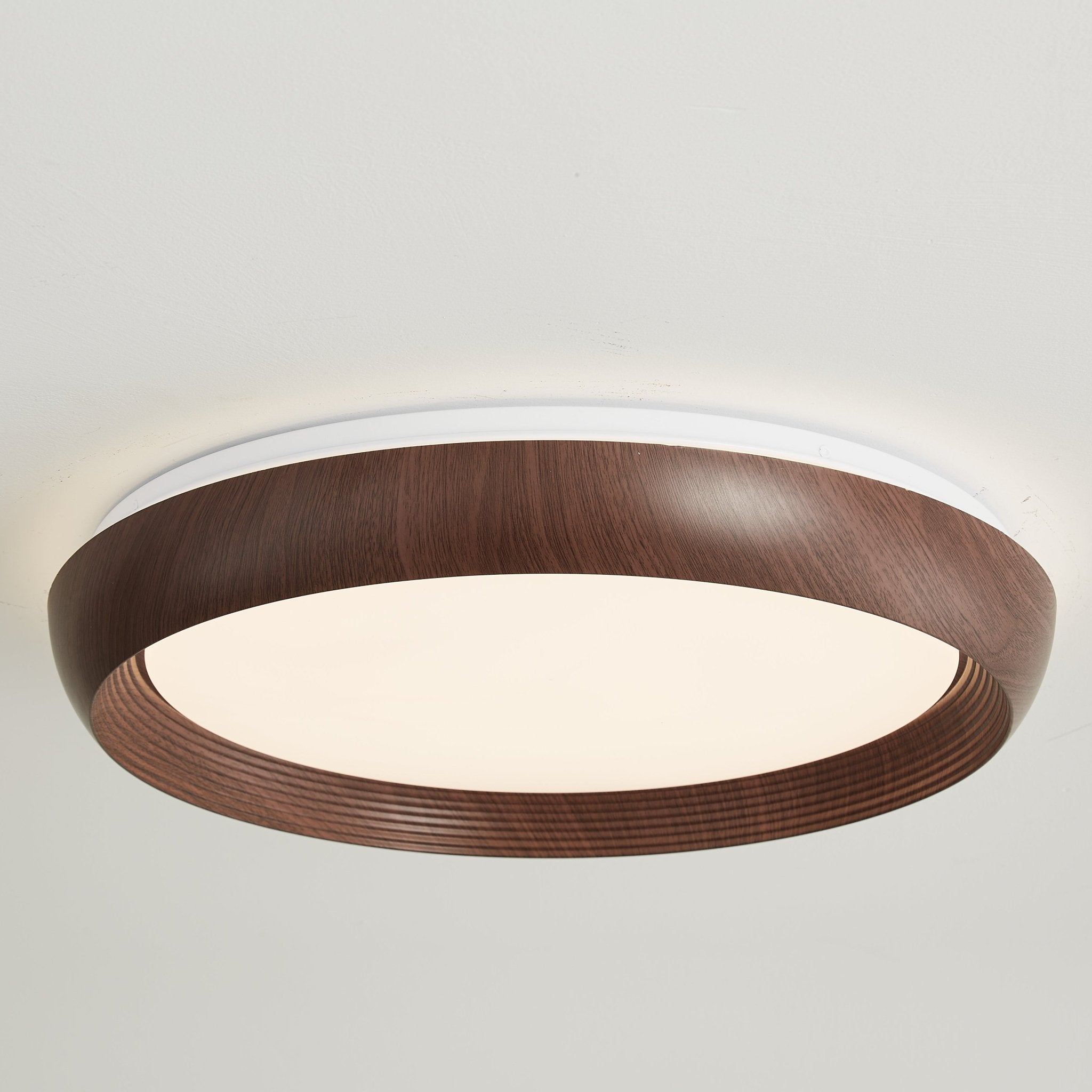 Novera Grain Ring Ceiling Light