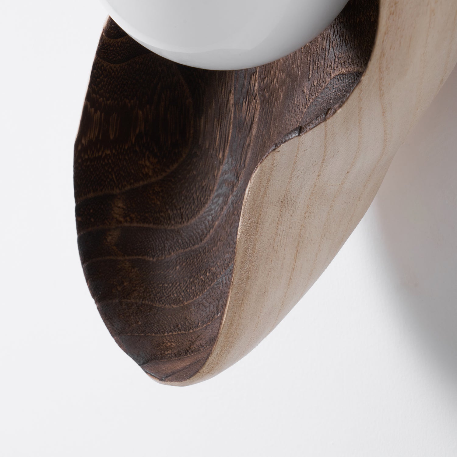Dualis Rootlight Wall Lamp