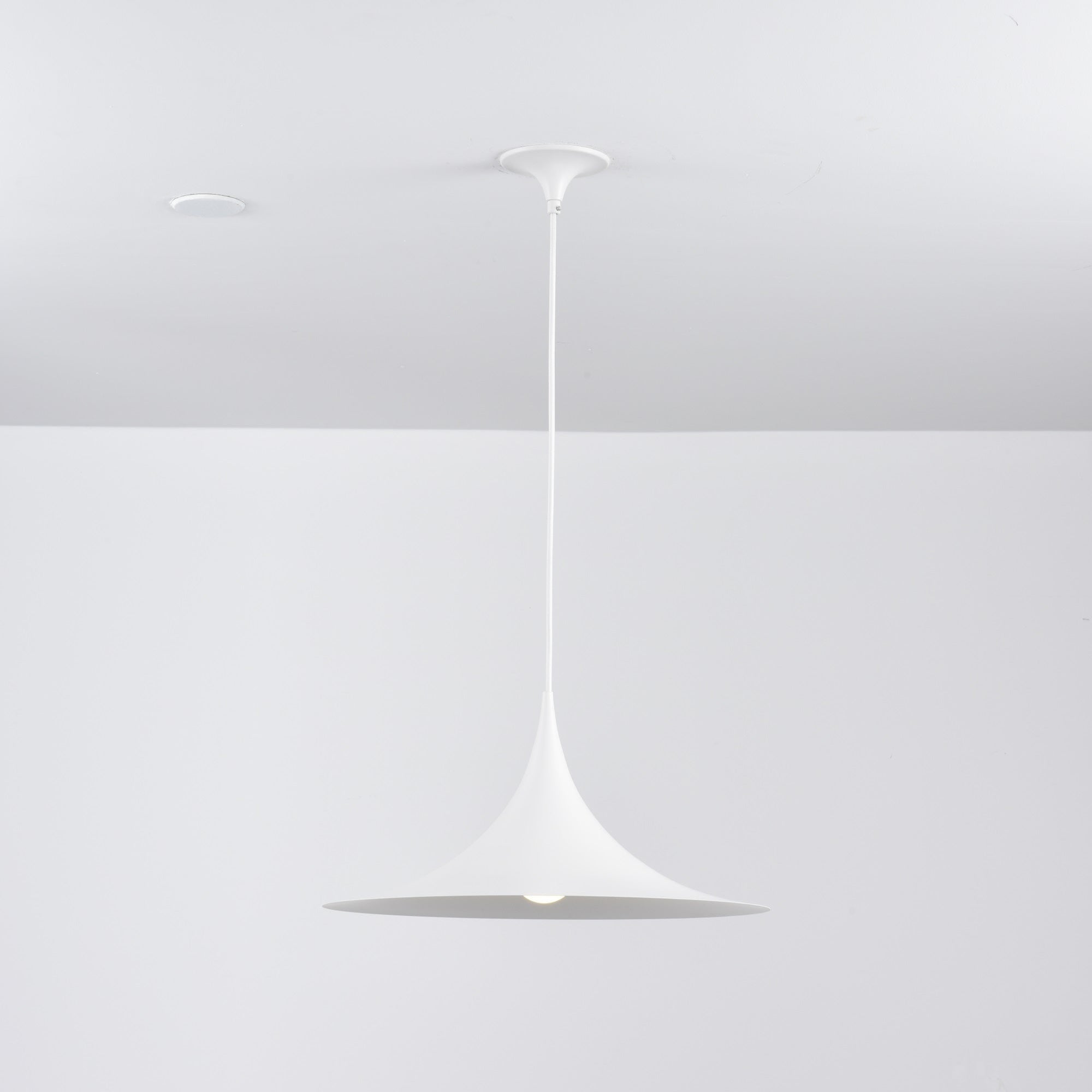 Semi Swag Pendant Light