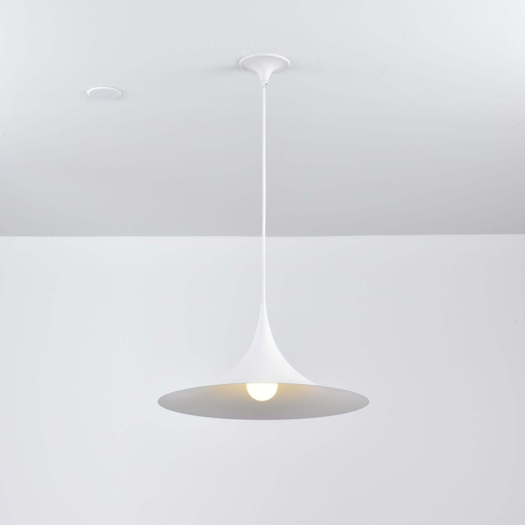 Semi Swag Pendant Light