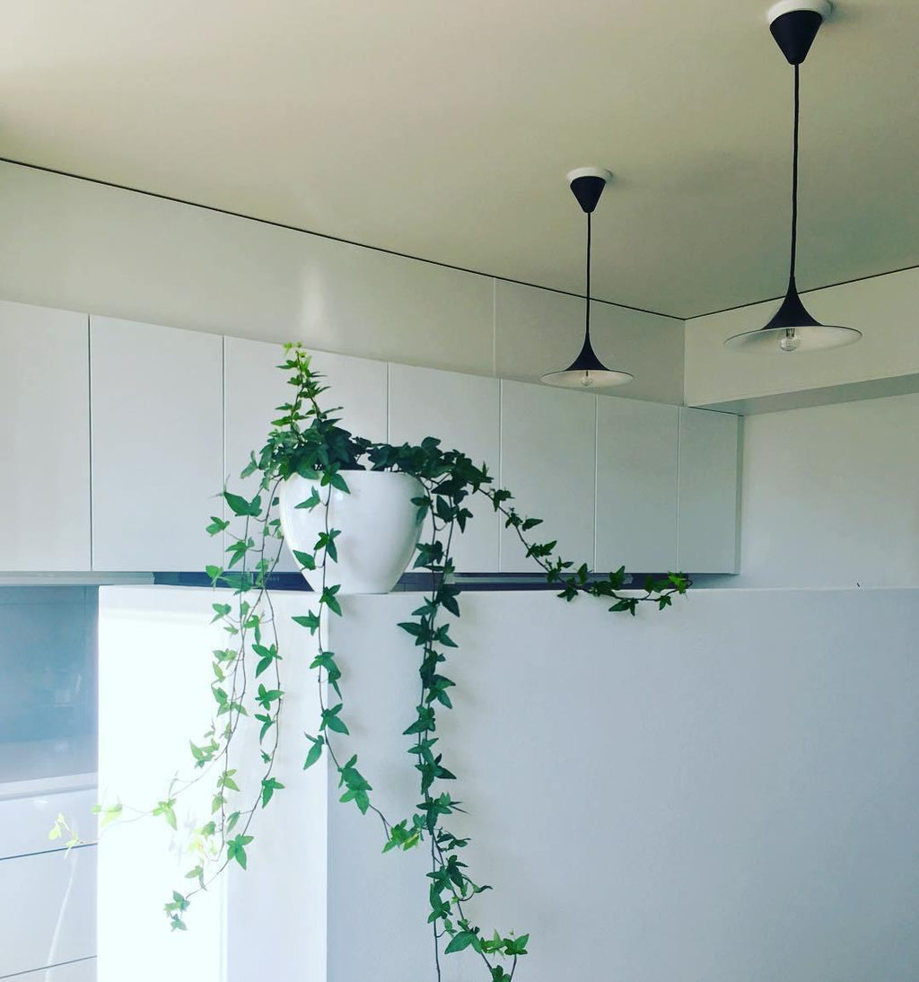 Semi Swag Pendant Light