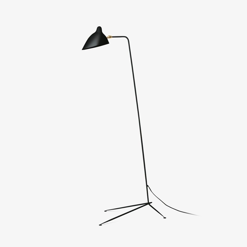 Arm Spider Floor Lamp