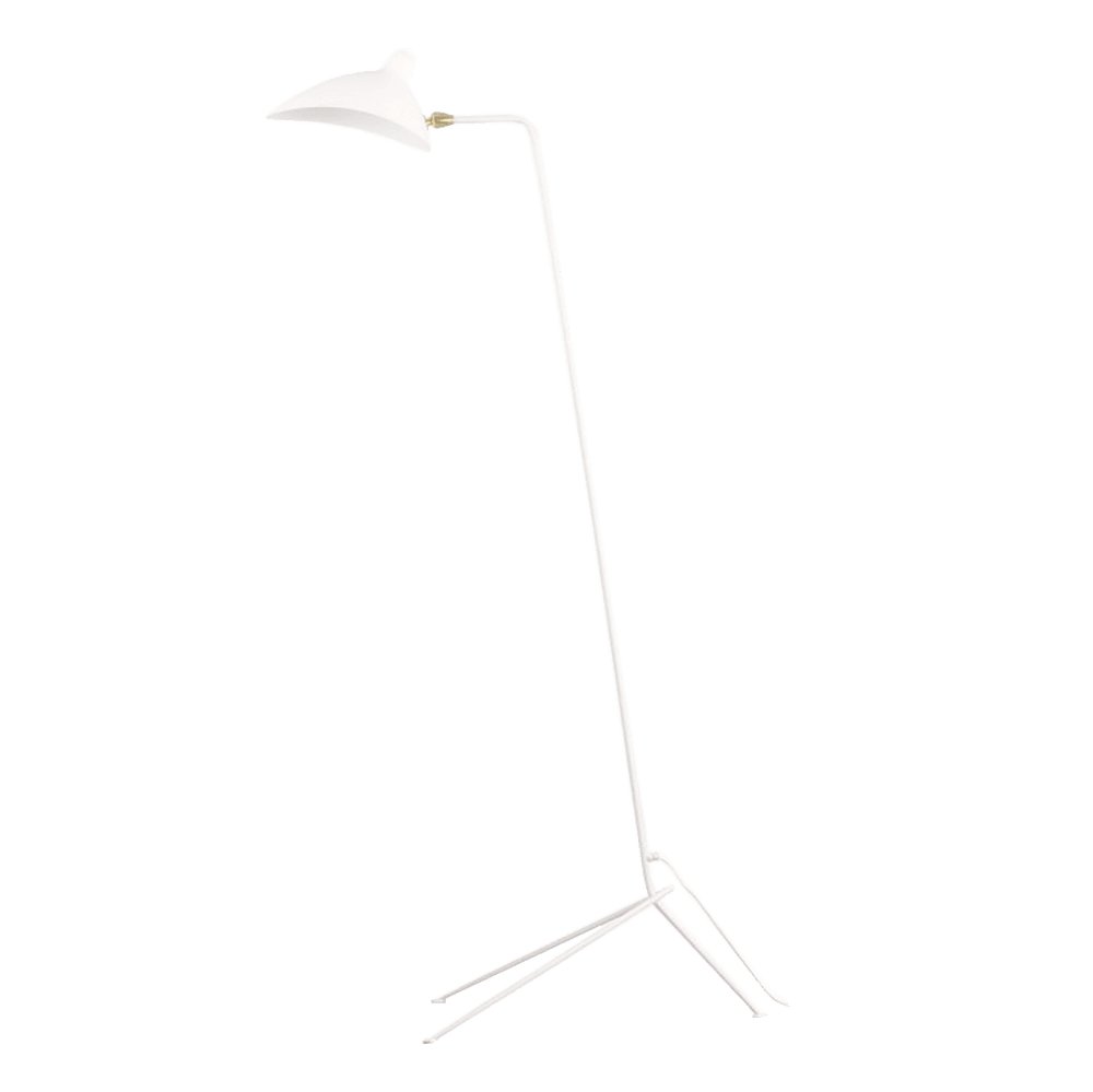 Arm Spider Floor Lamp