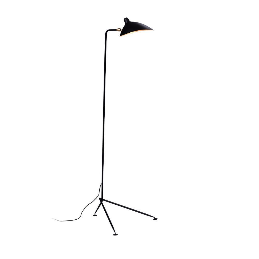 Arm Spider Floor Lamp