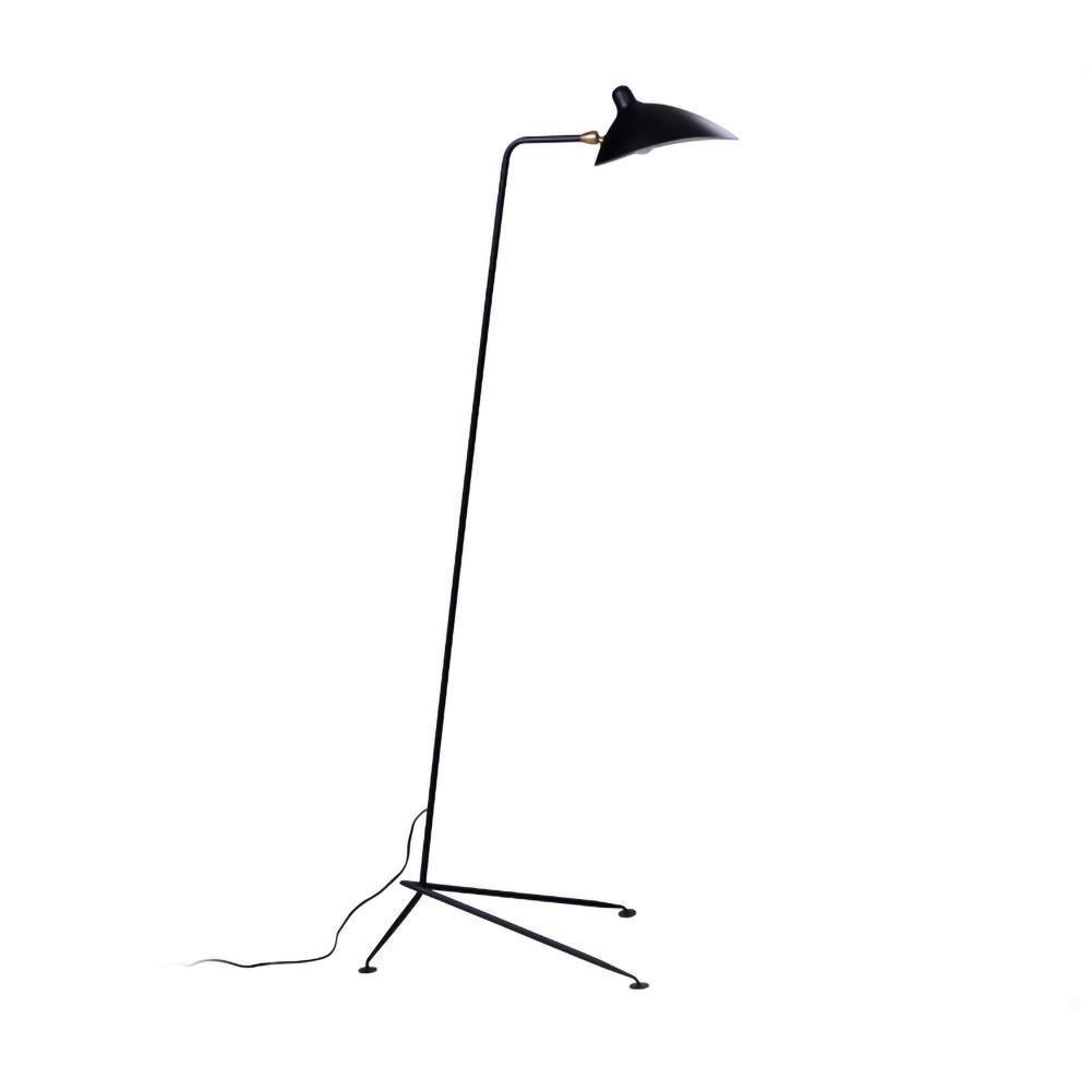 Arm Spider Floor Lamp