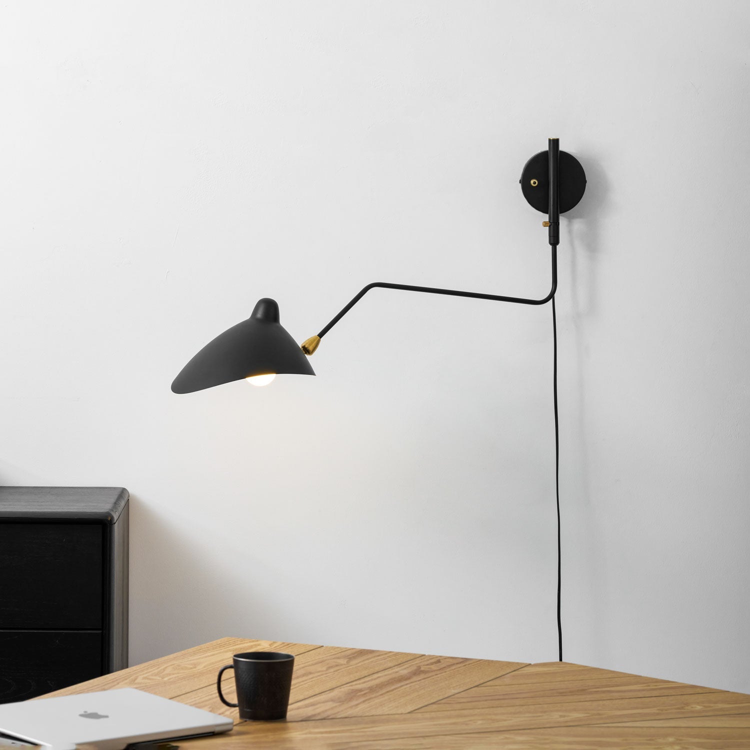 Versatile Arm Wall Sconce
