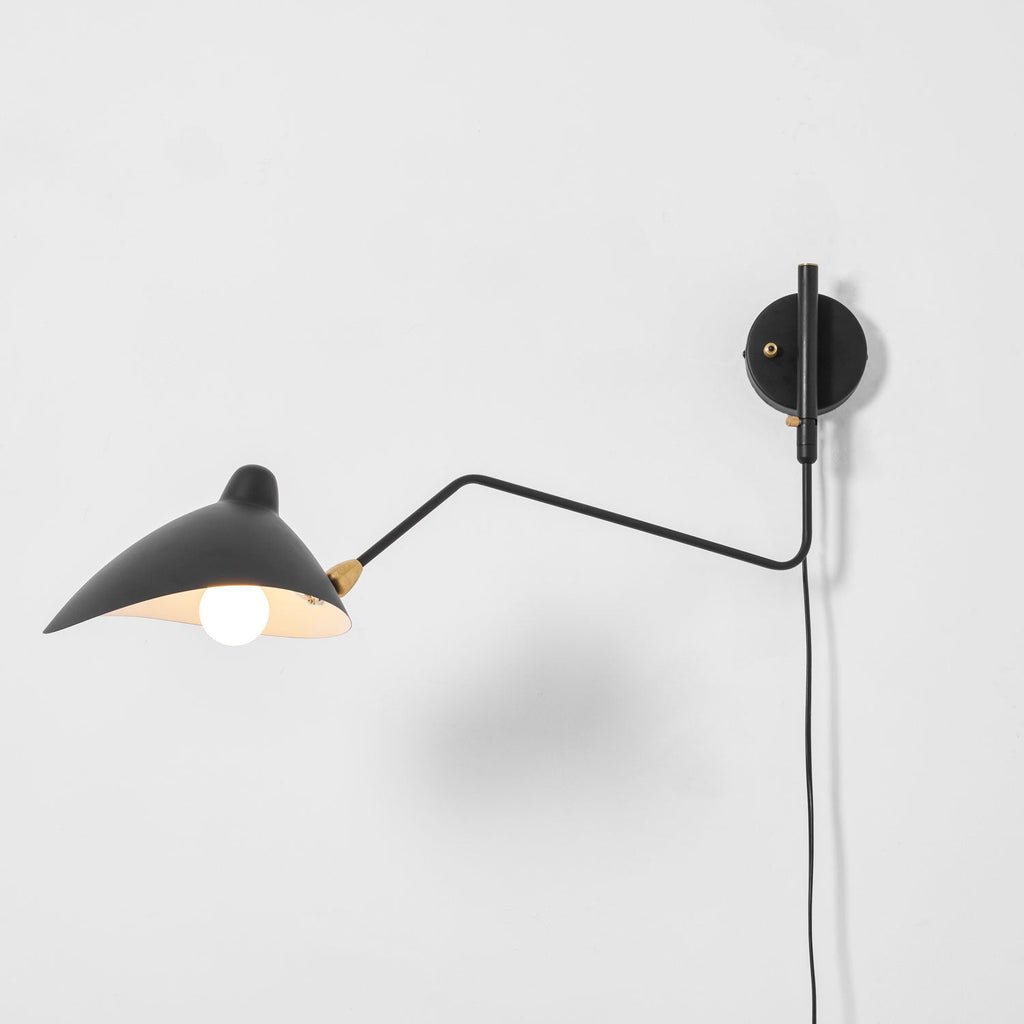 Versatile Arm Wall Sconce