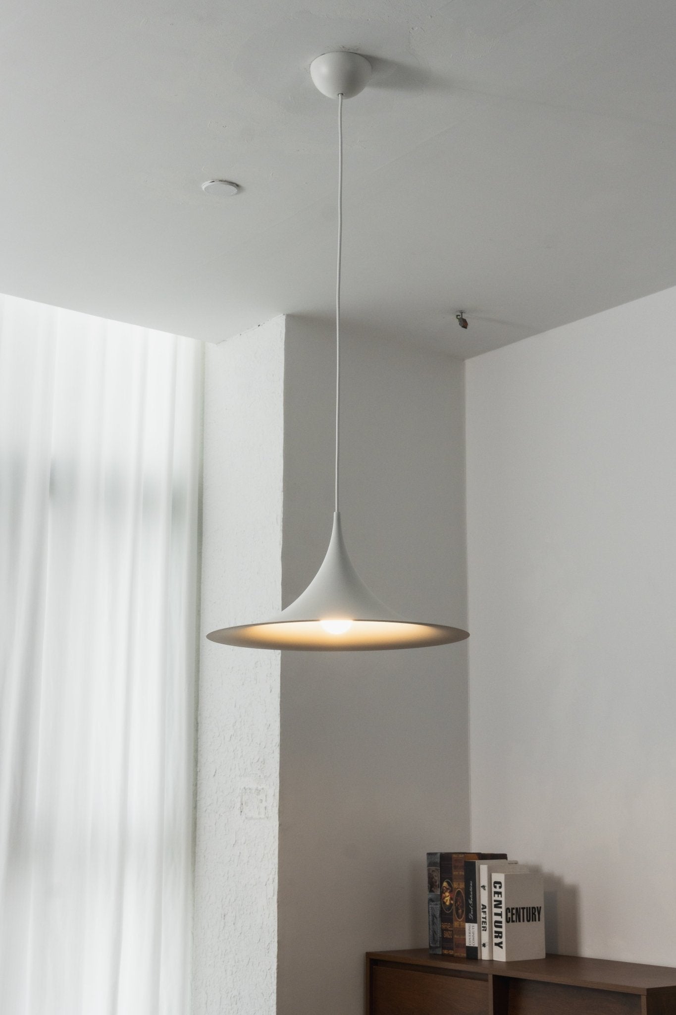 Semi Pendant Light