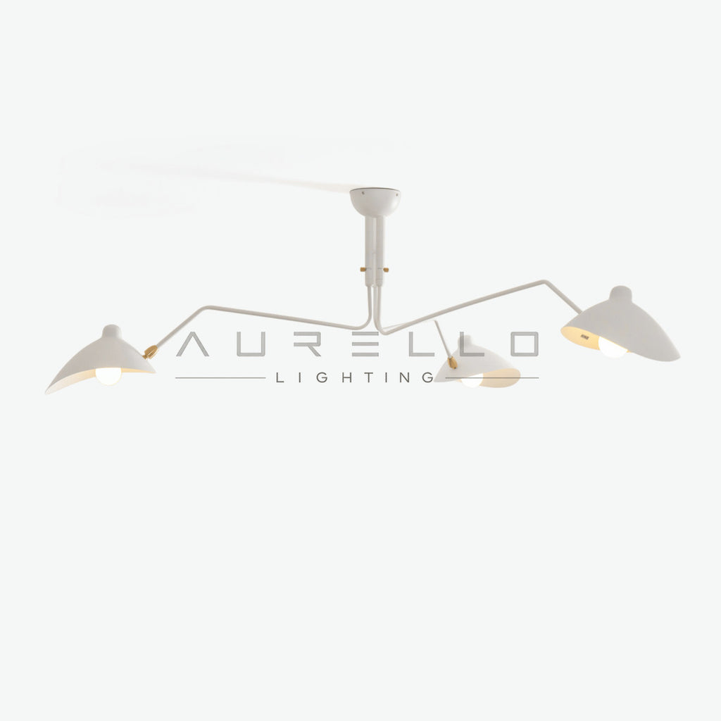 Multi-Arm Spider Ceiling Light A