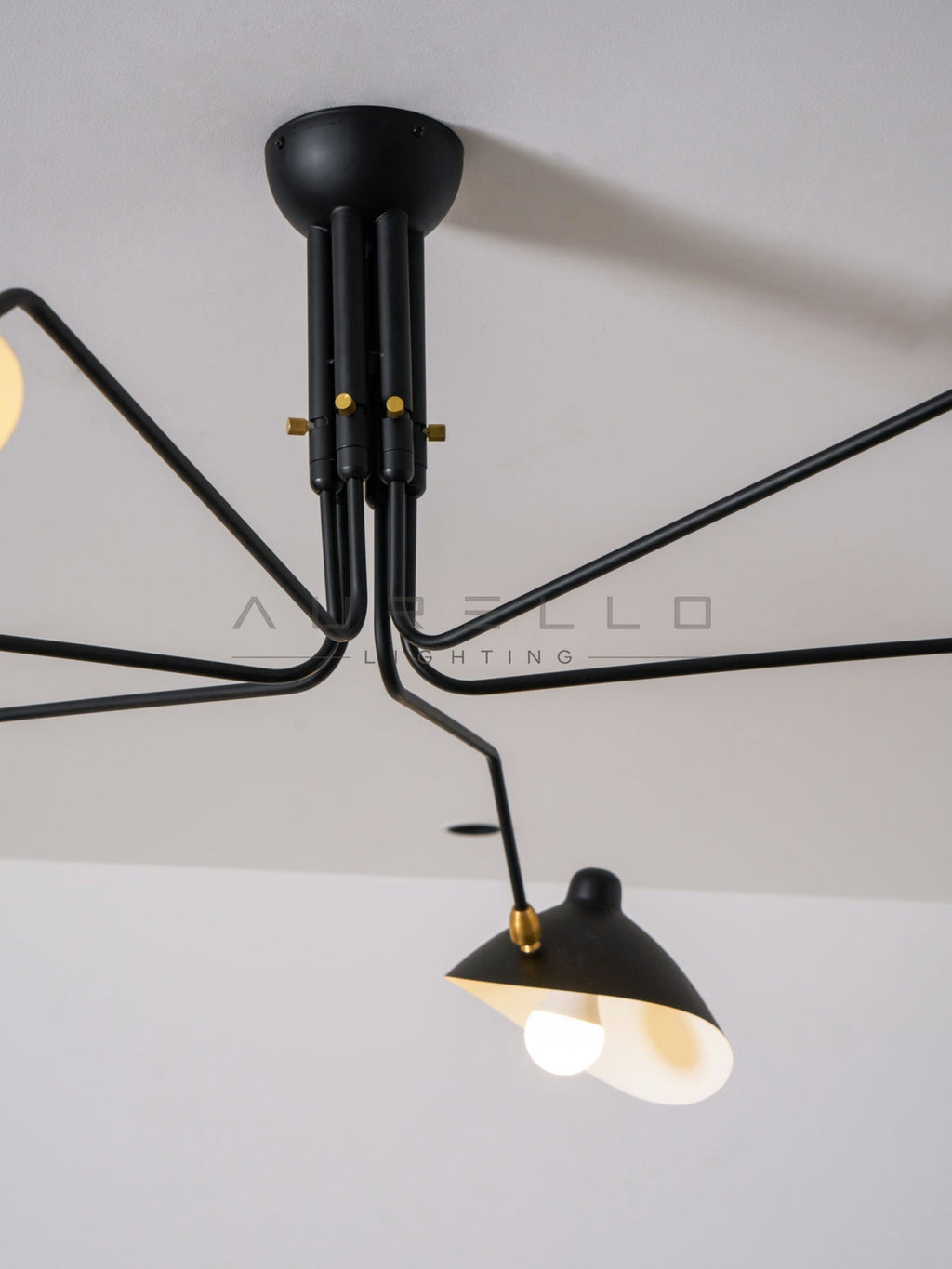 Multi-Arm Spider Ceiling Light A
