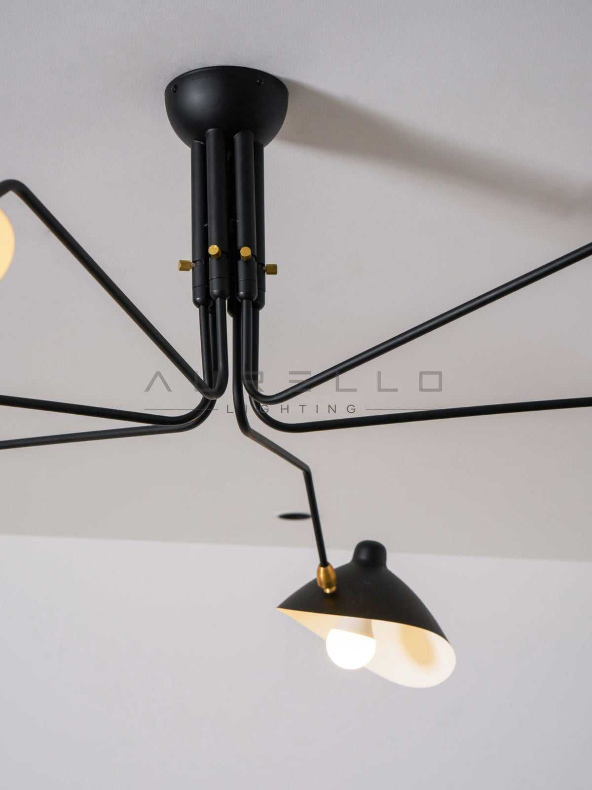 Multi-Arm Spider Ceiling Light A