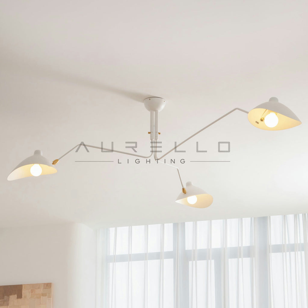 Multi-Arm Spider Ceiling Light A