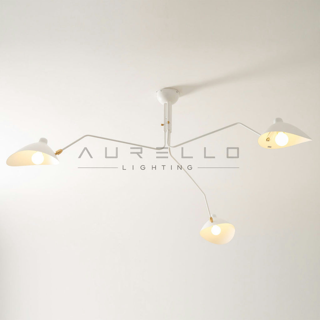 Multi-Arm Spider Ceiling Light A