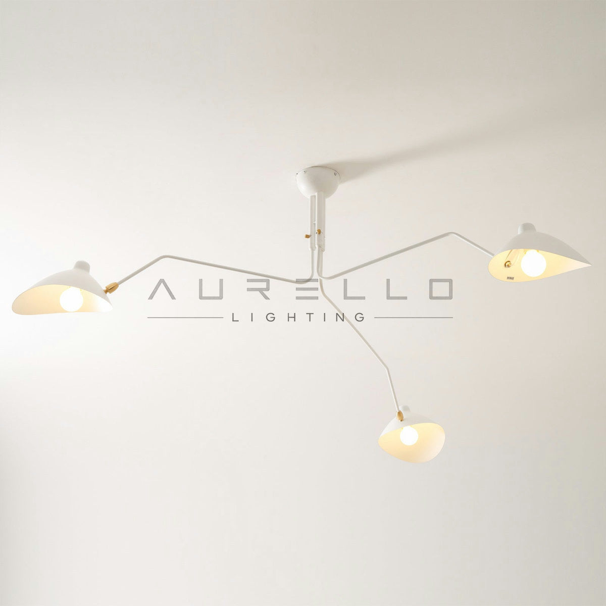 Multi-Arm Spider Ceiling Light A