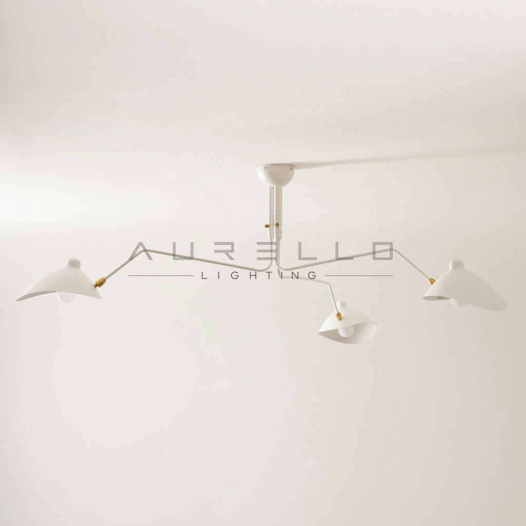 Multi-Arm Spider Ceiling Light A