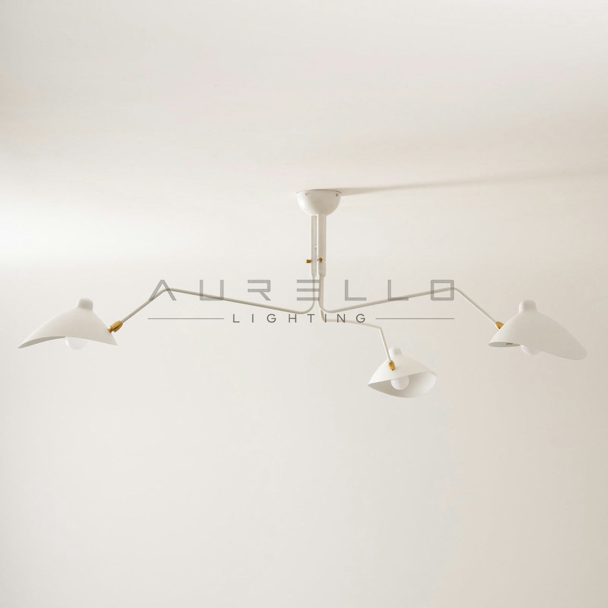 Multi-Arm Spider Ceiling Light A