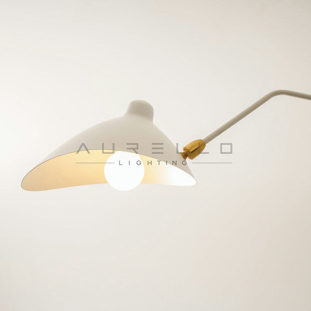 Multi-Arm Spider Ceiling Light A