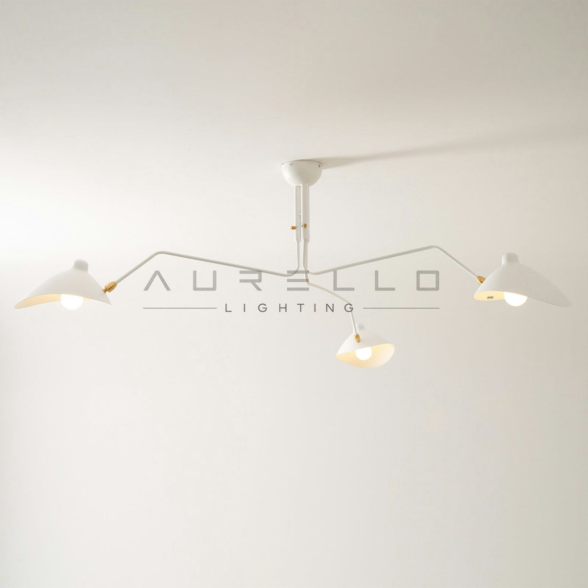 Multi-Arm Spider Ceiling Light A