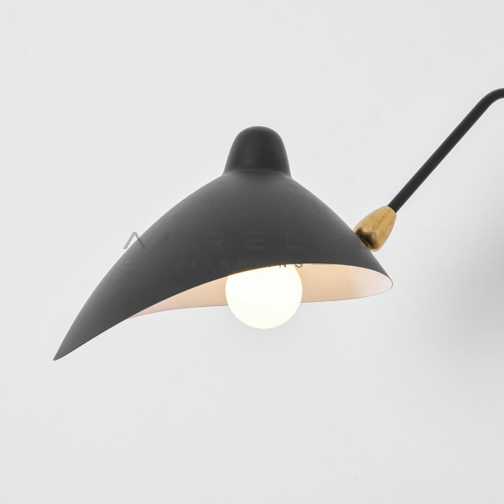 Versatile Arm Wall Sconce