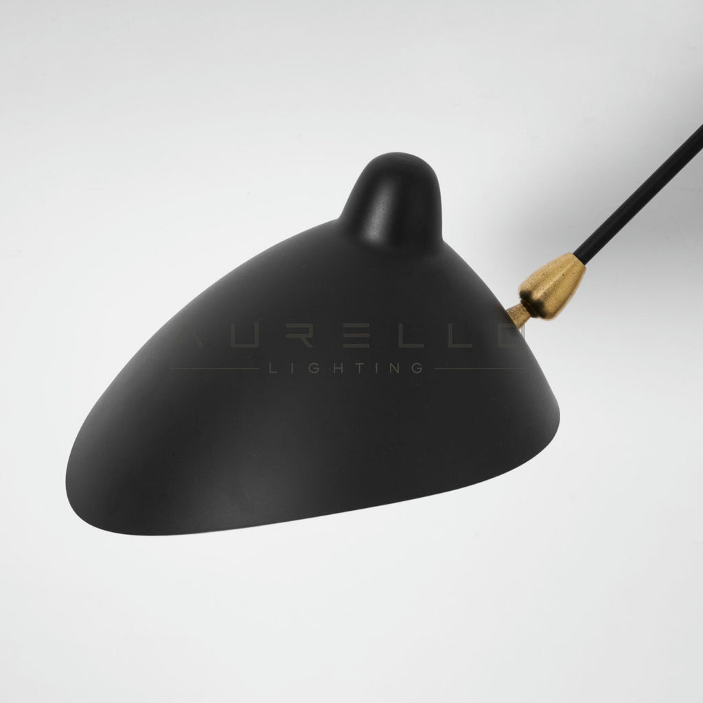 Versatile Arm Wall Sconce