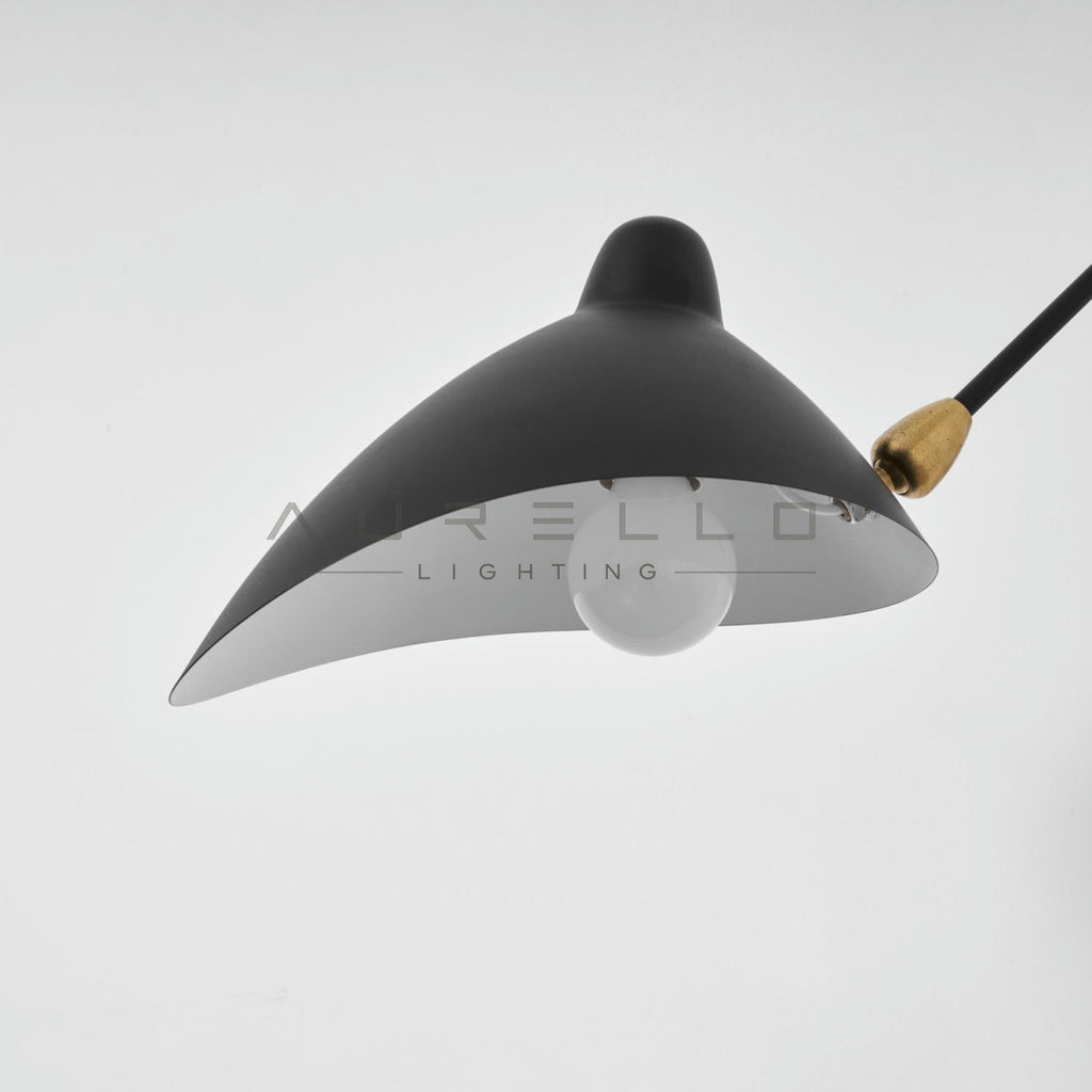 Versatile Arm Wall Sconce